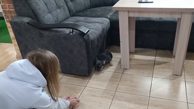 Первая встреча