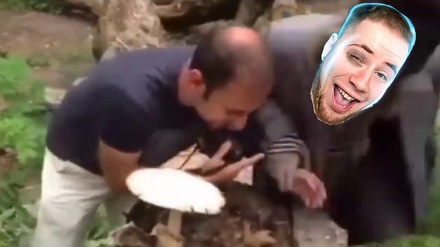 Шок!!! В сеть слили видио где ТикТак ест гриб!!! смотреть онлайн