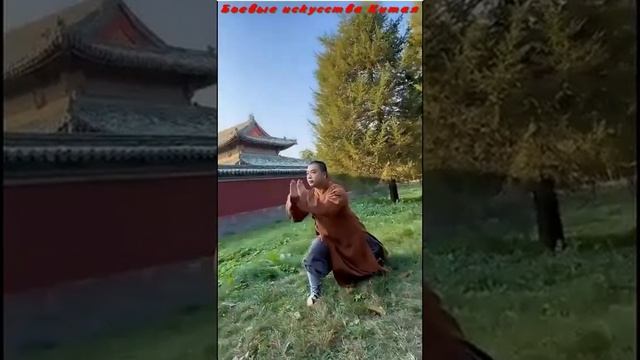 Одно из выдающихся упражнений шаолиньского кунг-фу Сяоцзя