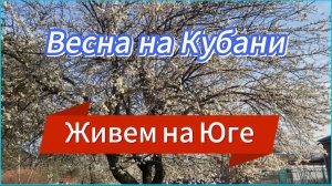 526ч🏡29.03.25-Залили бетон//Подкормила клубнику и малину//В ожидании дождя//Цветет Алыча и абрикос