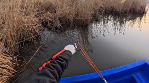 Рыбалка на рогатку! Настрелял на рогатку  сазанов 🐠🐋🐟