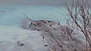 Нерест селёдки в Пригородном и Школьный распадок.  Сахалин.  апрель 2024