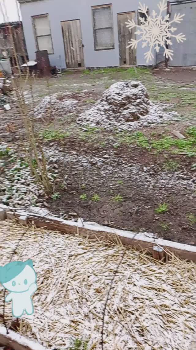 зима заблудилась немного