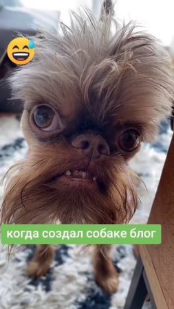 это новый блогер просит вашей поддержки