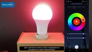Как подключить умную лампочку Tuya к Яндекс Алисе