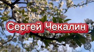 Сергей Чекалин, За далью даль. Музыка для души