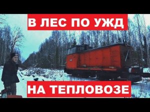 Встретили ВОЛКА! К месту стройки на тепловозе. Учусь пилить доски бензопилой. #4