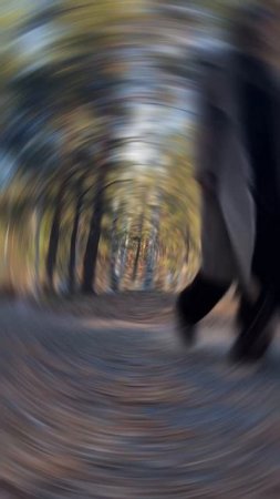 Три причины почему человек не получает удовольствие: