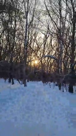 10-04-2025прекрасный парк