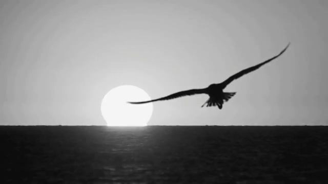 8 Путь домой Вячеслав БезверхнихПесни СВОВоенные песниАрмейские песни720 смотреть онлайн