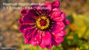 Sigma 24-70mm F2.8 ART VS 28-70mm F2.8 Contemporary Comparison