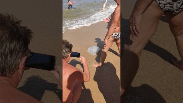 Бенефис большой медузы🪼/Сладкие маленькие ананасы🍍/Утренний пляж👍⛱️😊 #travel #тревелвлог #beach