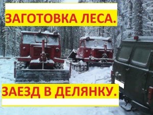Заготовка леса.  Заезд в новую делянку.