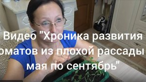 Хроника в городе. 8 апреля 2025 года. И будет новая земля и новые помидоры ))