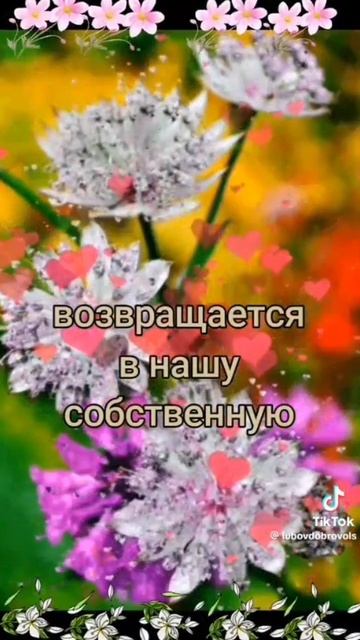 scene_output.mp4