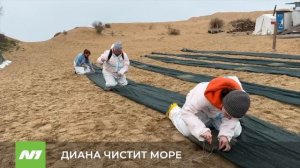 Волонтёры продолжают очищать побережье Чёрного моря