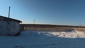 Журавли прилетели