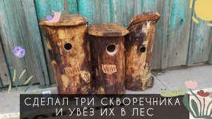 Сделал три скворечника дуплянки и увез в лес