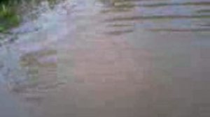 ЗиЛы затопило от бобров.