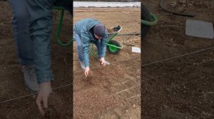 🔥В питомнике 7А посевная в самом разгаре! Делимся с вами самыми свежими кадрами!