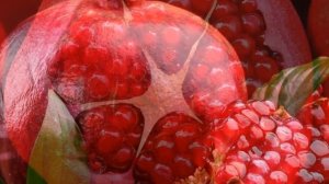 Анорнинг 5 Фойдаси ...