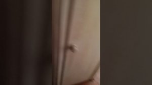 VID_20250410_151631.mp4
