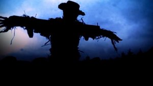 СТРАШИЛКИ НА НОЧЬ - Пугало