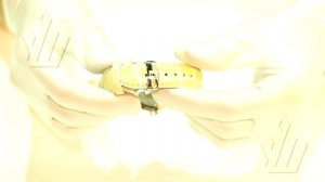 Tissot luxury powermatic 80 lady T086.207.16.111.00