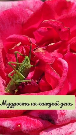 Держите дистанцию!