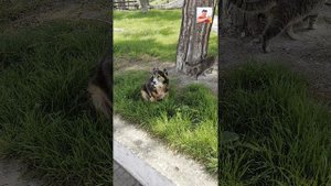 Дивноморское. 10.04.25
