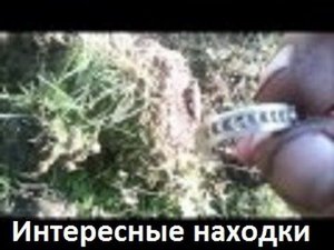 Интересные находки.