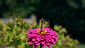 17980813-uhd_3840_2160_24fps