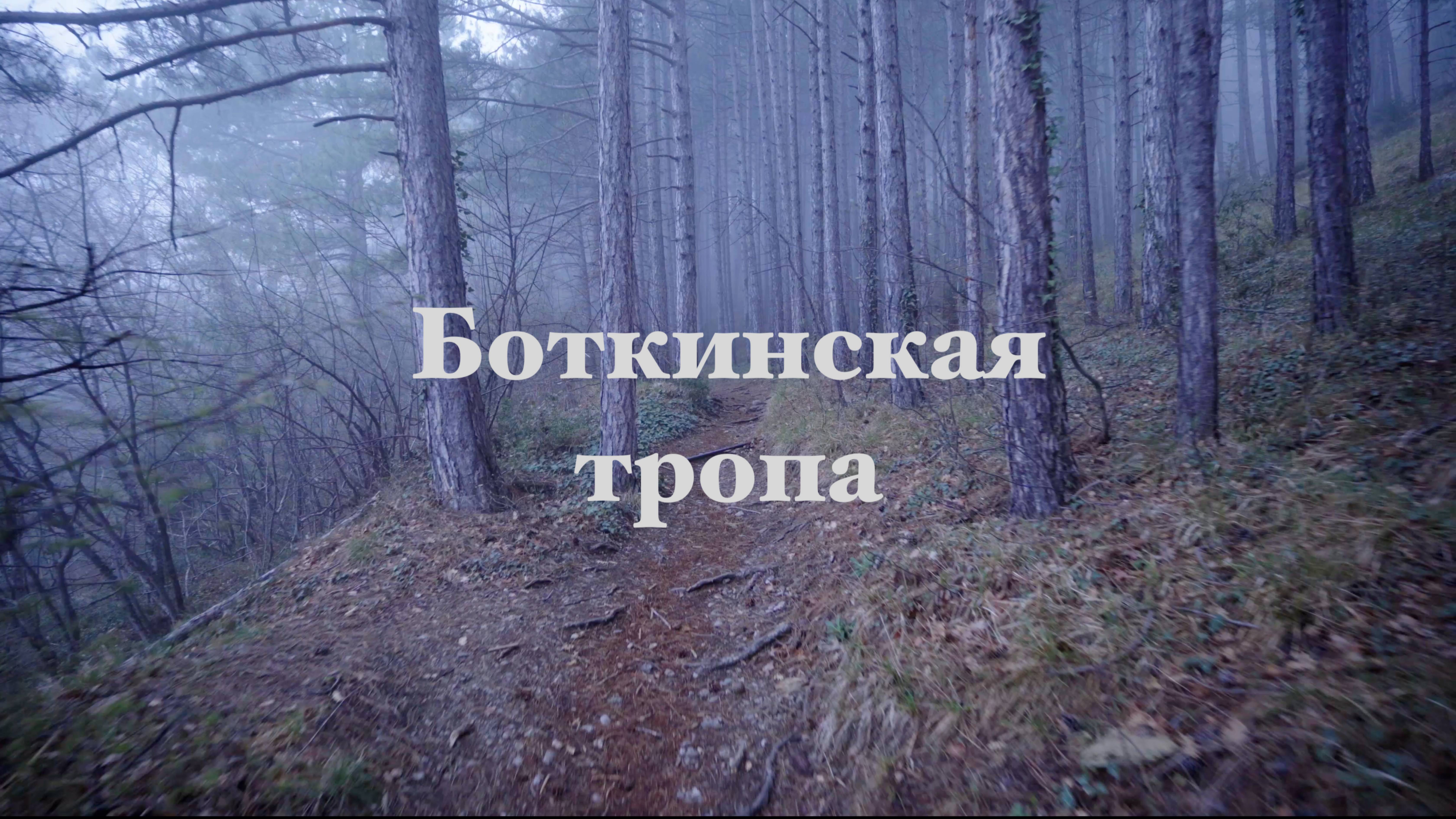 Боткинская тропа. Ялта. Крым.