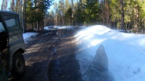Покатушки по весеннему лесу! Сбор берёзовой чаги.