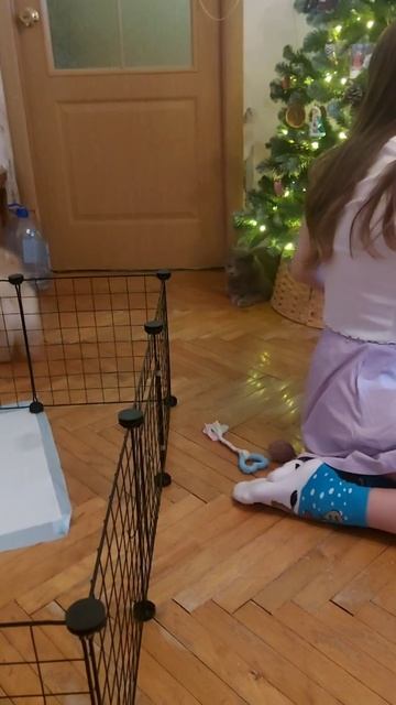 Собака боится громких звуков. Что делать? Как приучить щенка к громким звукам? Читай описание#Short