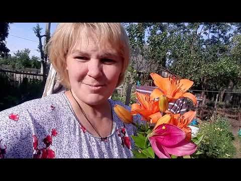 Глаза завидущие руки загребущие //Опять нахапала, на свою спину смотреть онлайн