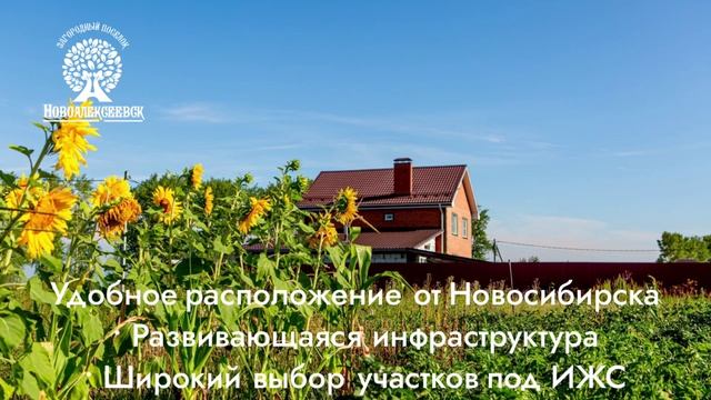 Земельные участки в Новосибирской области. ИЖС. НСО. Новоалексеевск. https://clck.ru/3FE57B