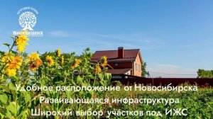 Земельные участки в Новосибирской области. ИЖС. НСО. Новоалексеевск. https://clck.ru/3FE57B