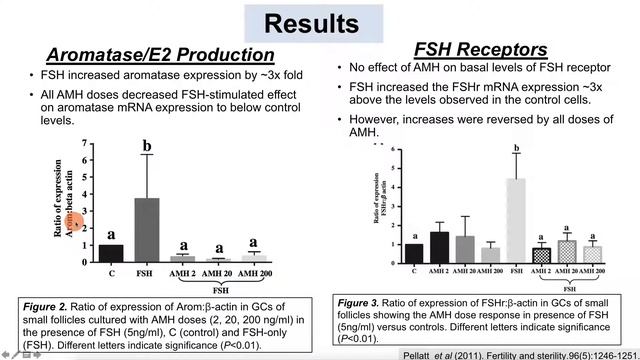 Menopause and Anti-mullerian Hormone (AMH)