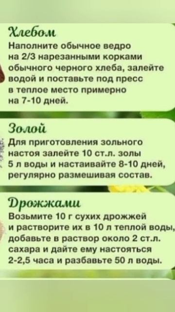 Ранняя🌱 подкормка 🍅овощей 🍓ягод и 🍉бахчевых культур