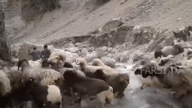 Бахтиары Народ смотреть онлайн