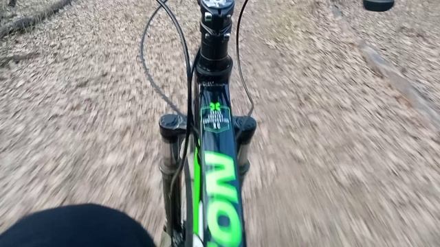 Покатушки по лесу на велосипеде смотреть онлайн