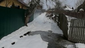 10.04.2025.Усадьба Парк Кино Ляхово. Парк Кошек. Домодедово. Обзор проводимых работ! Домодедово. Мос