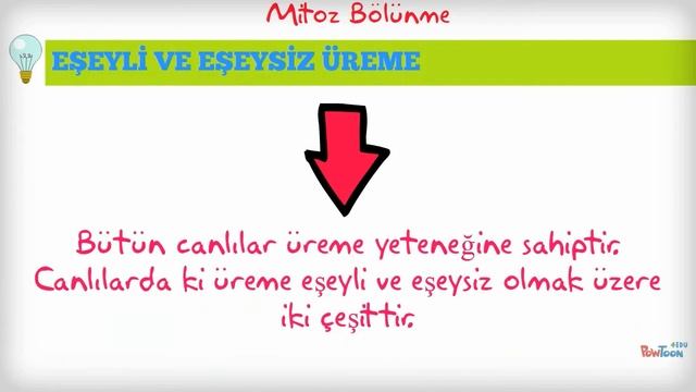 Teogakademi Fen ve Teknoloji - 1. Ünite Mitoz Bölünme