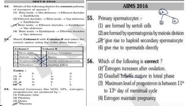 NEET/AIIMS/AIPMT/PREVIOUS YEAR QUESTIONS FROM HUMAN REPRODUCTION/NEET BIOLOGY