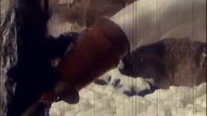 Ударная Сила - Гнев богов (50 выпуск)