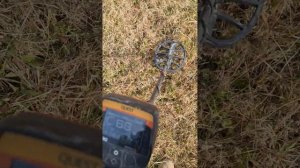 quest v80 metal detector live digs