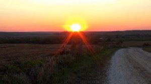 Распустятся победные тюльпаны