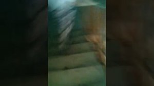 Иксперемент - что будет если скинуть бутылку воды с 10 этажа