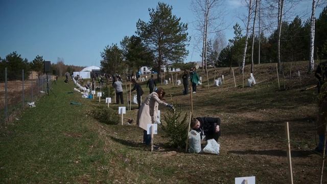 В Зеленой гавани появилась аллея будущего Парка тысячи растений.